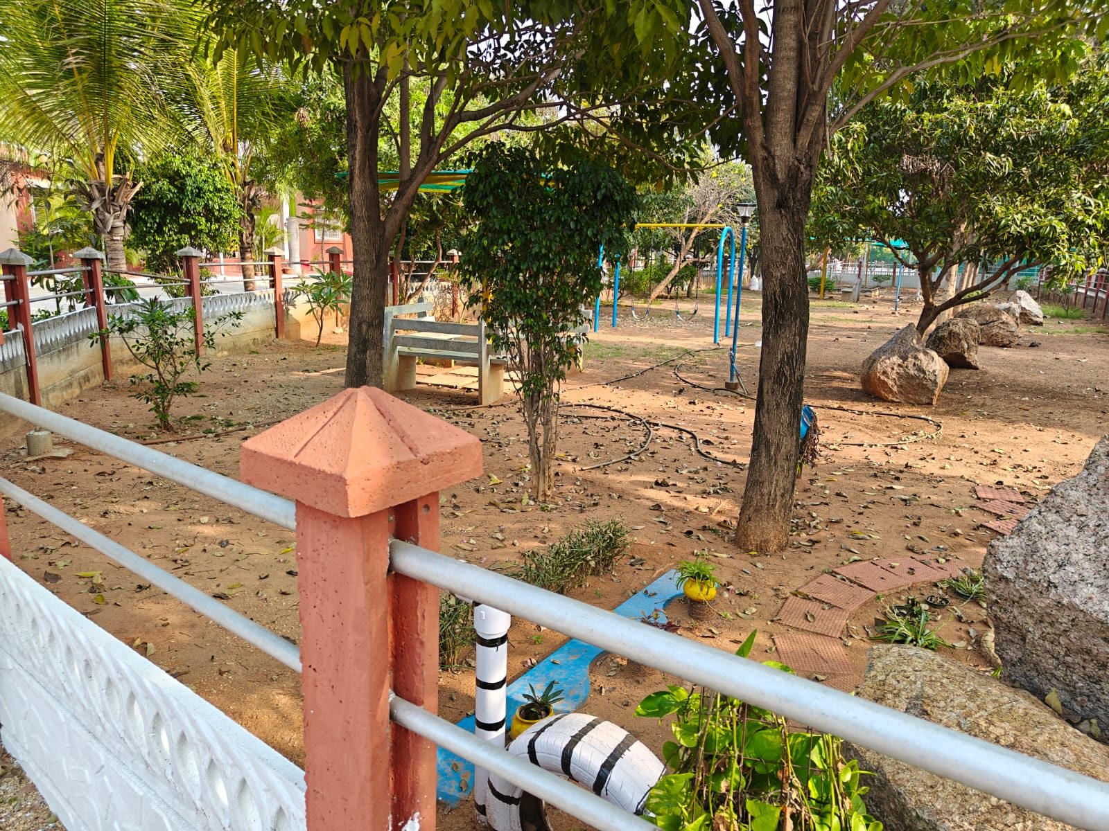 Tree-lined pathway at Autism Ashram