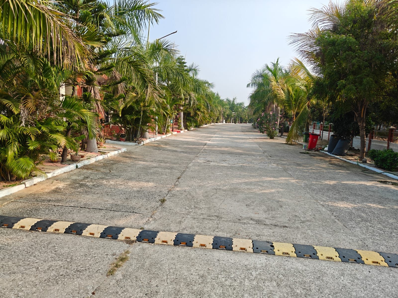 Autism Guardian Village campus road
