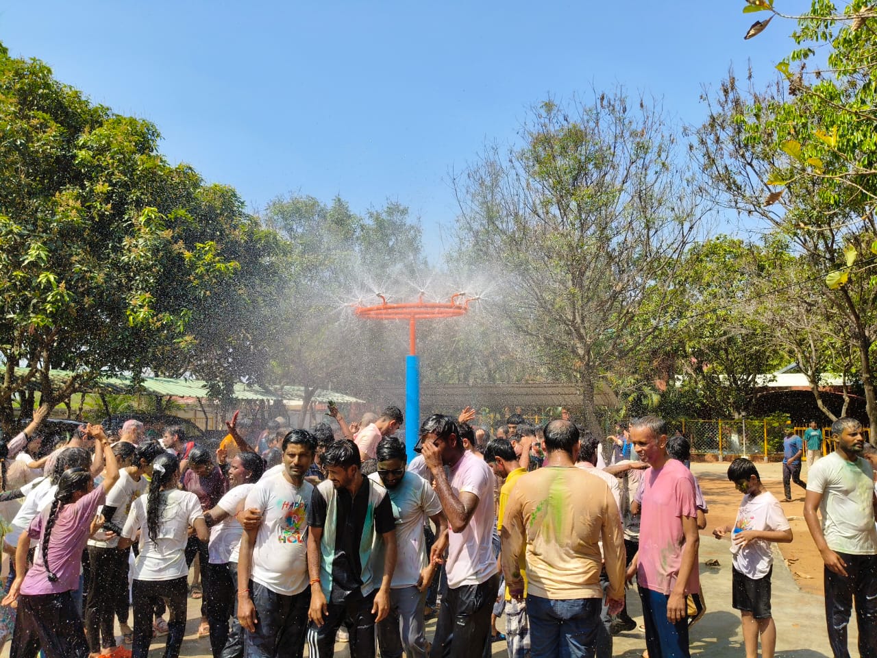 Holi Celebrations – 2026 image 10